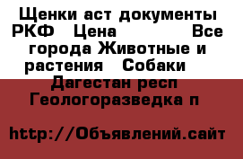 Щенки аст документы РКФ › Цена ­ 15 000 - Все города Животные и растения » Собаки   . Дагестан респ.,Геологоразведка п.